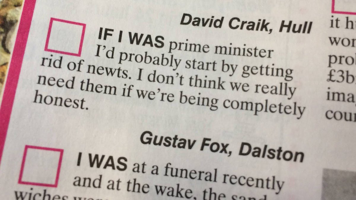 Gus The Fox tweet media
