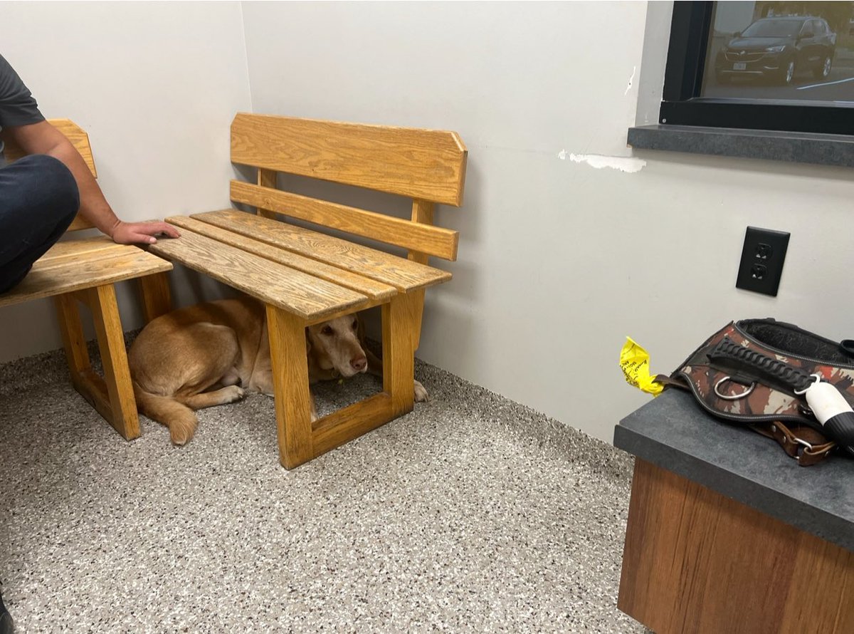 Arći (In memory of AZLAN🌈) tweet media