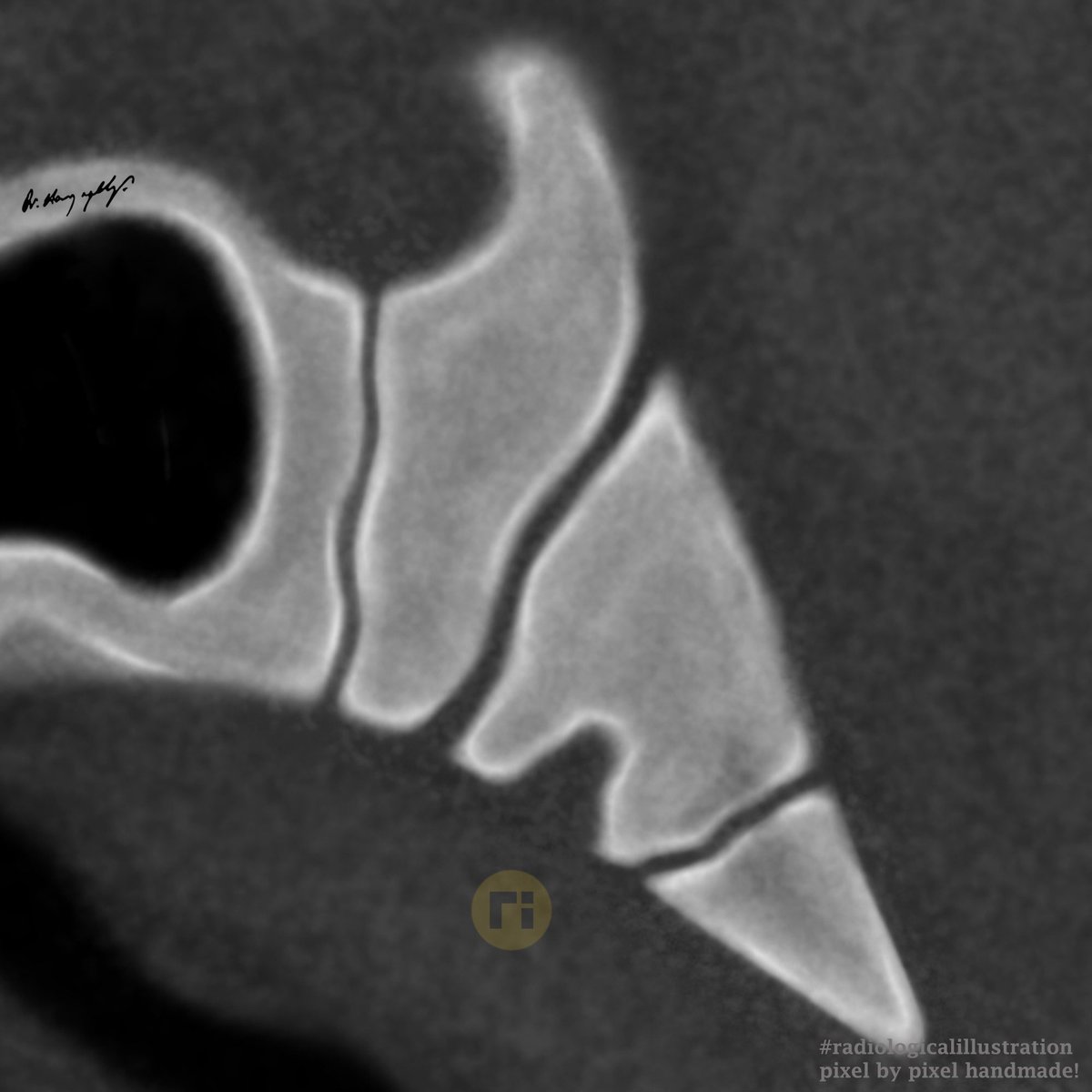 Dr Harun Yıldız tweet media