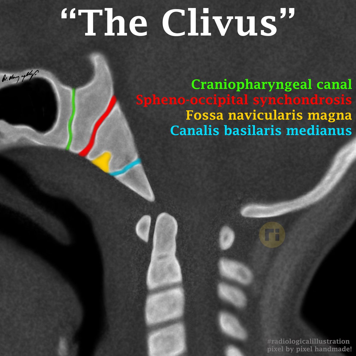 Dr Harun Yıldız tweet media