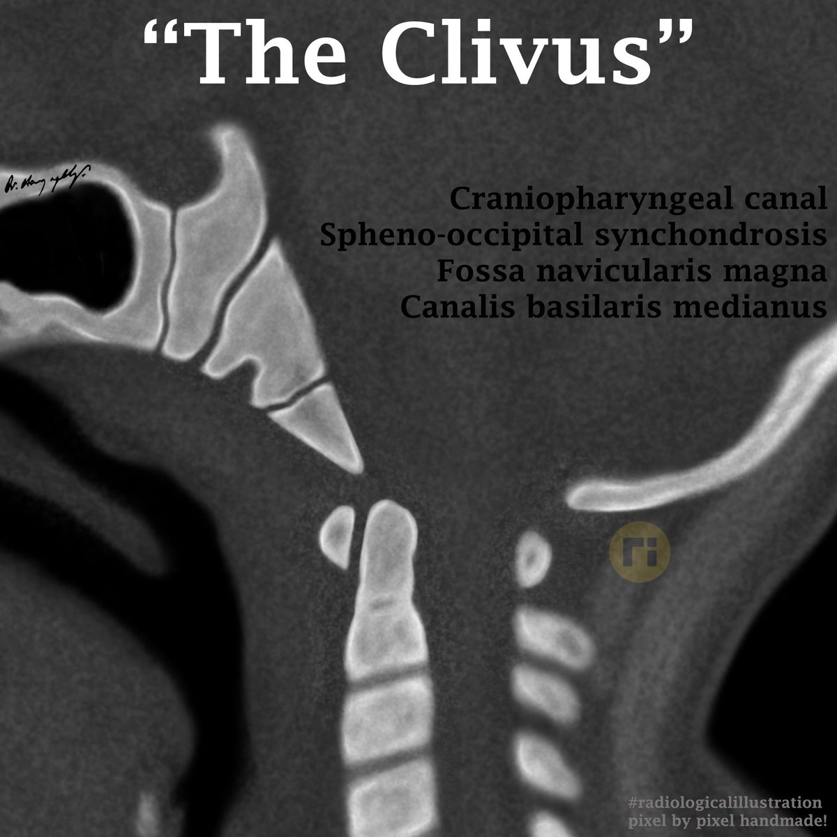 Dr Harun Yıldız tweet media