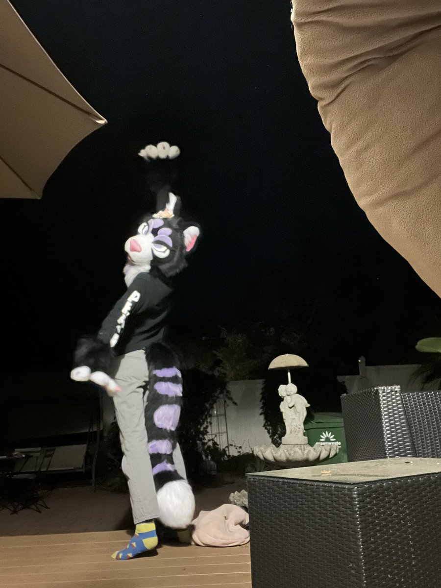 Selling Lucien 🌙💜
Asking for $2.2K - made by the amazing MyrtlesMonsters 
I’m moving overseas and needing to make room and I never had the greatest attachment to her but I still love her very much :,)
She’s very HQ and comes with everything seen plus digital art
#fursuitforsale