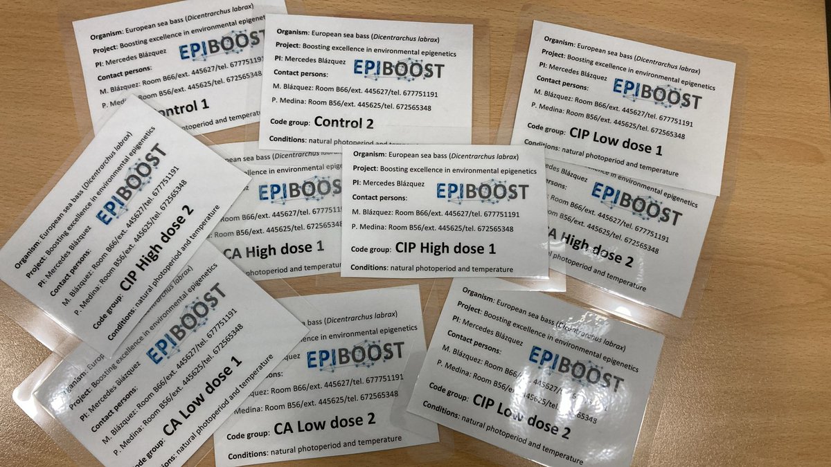 EPIBOOST tweet media