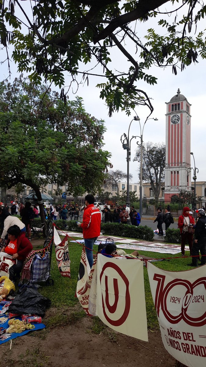 Los HDTs presentes en la lucha 💪🏻