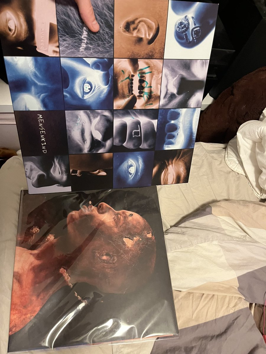 Luna 🧶 🧸 tweet media