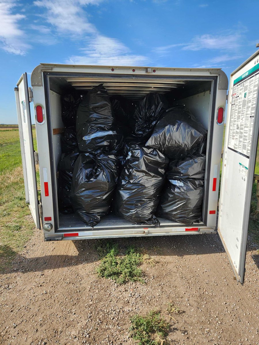 KSUWheat's tweet photo. Our exceptionally hard-working crew collecting pre-harvest samples of #wheat for yield component measures (biomass, HI, heads/m2, kernels/m2, kernels/head, and 1000 kernel weight) from about 6,000 plots! @KansasWheat @KStateAgron @KStateRE https://t.co/KtYupJexZs