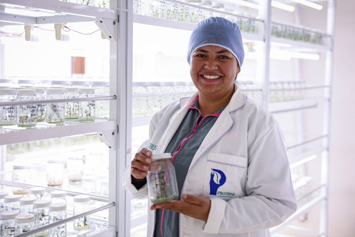 Mincyt_VE's tweet photo. #13Jun | Cebisa: referente de investigación y producción agroecológica para el avance de la Alianza Científico-Campesina en Venezuela 🇻🇪🌱

Descubre por qué somos una #VenezuelaPotencia ➡️https://t.co/8s4W0AEgBo

#CienciaParaLaVida https://t.co/1a59PkzPPY