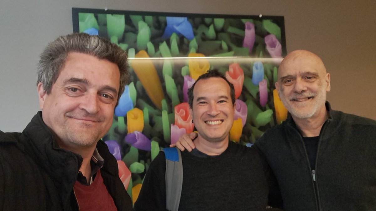 Galo Soler Illia ⭐️⭐️⭐️ tweet media