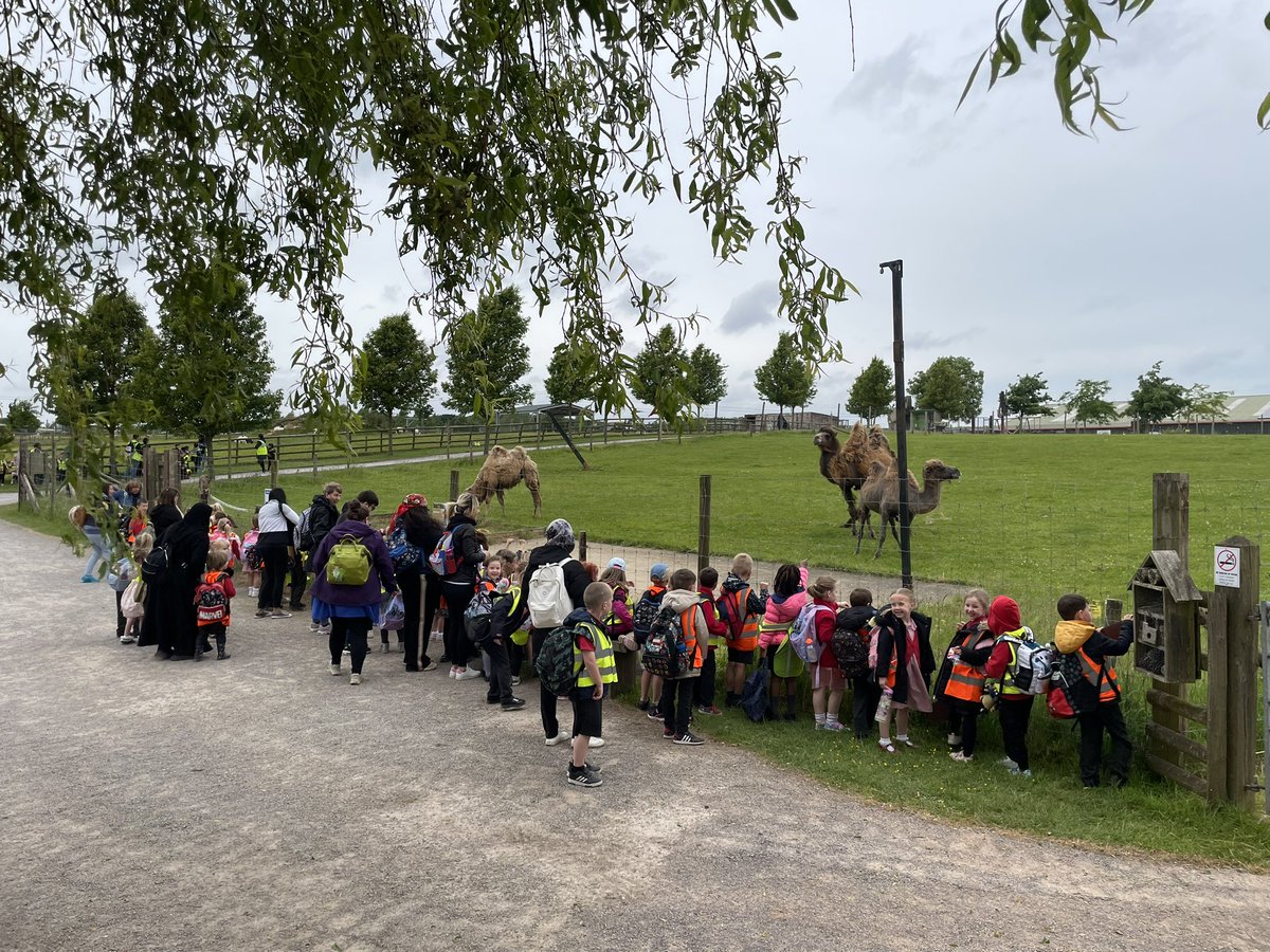 We had an amazing day at Noah’s Ark! <a href="/MillbrookP/">Millbrook Primary</a>