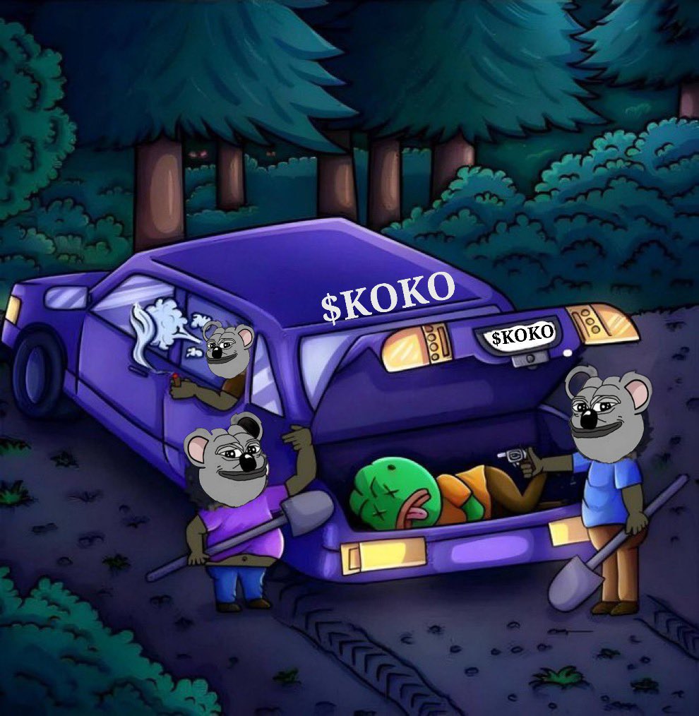 overlinespain's tweet photo. @KOALAAIVIP #KOKO https://t.co/iM105THcWE