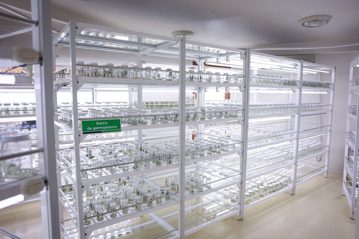 Mincyt_VE's tweet photo. #13Jun | Cebisa: referente de investigación y producción agroecológica para el avance de la Alianza Científico-Campesina en Venezuela 🇻🇪🌱

Descubre por qué somos una #VenezuelaPotencia ➡️https://t.co/8s4W0AEgBo

#CienciaParaLaVida https://t.co/1a59PkzPPY