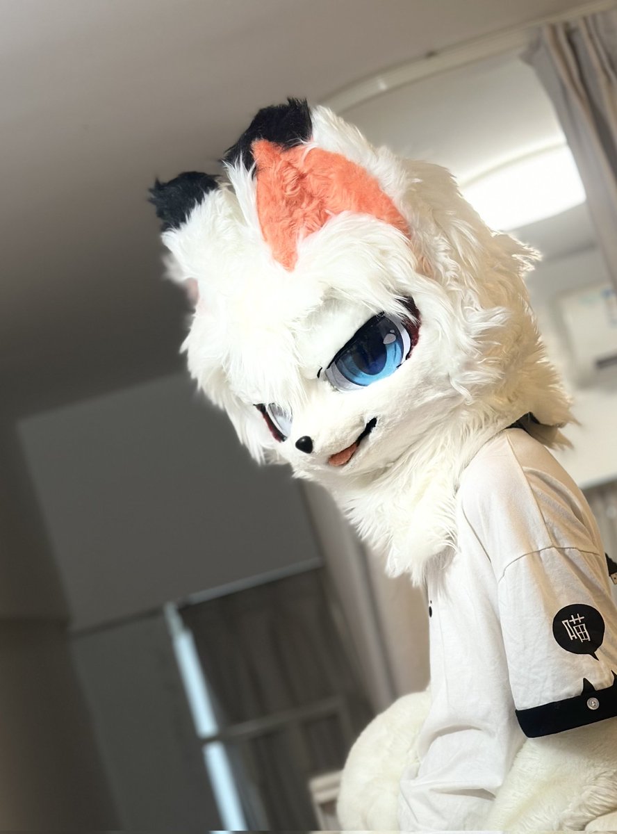 狐狸摆烂了 tweet media