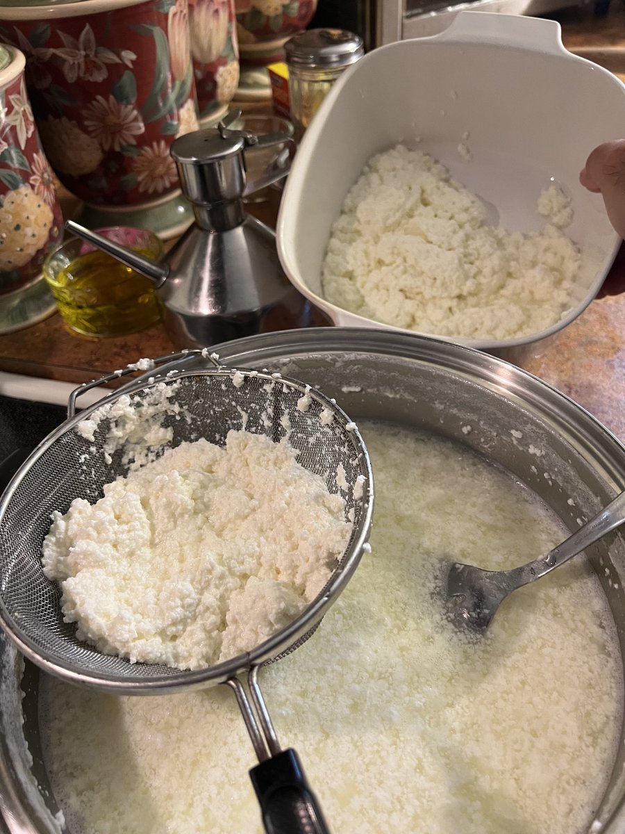 Homemade ricotta