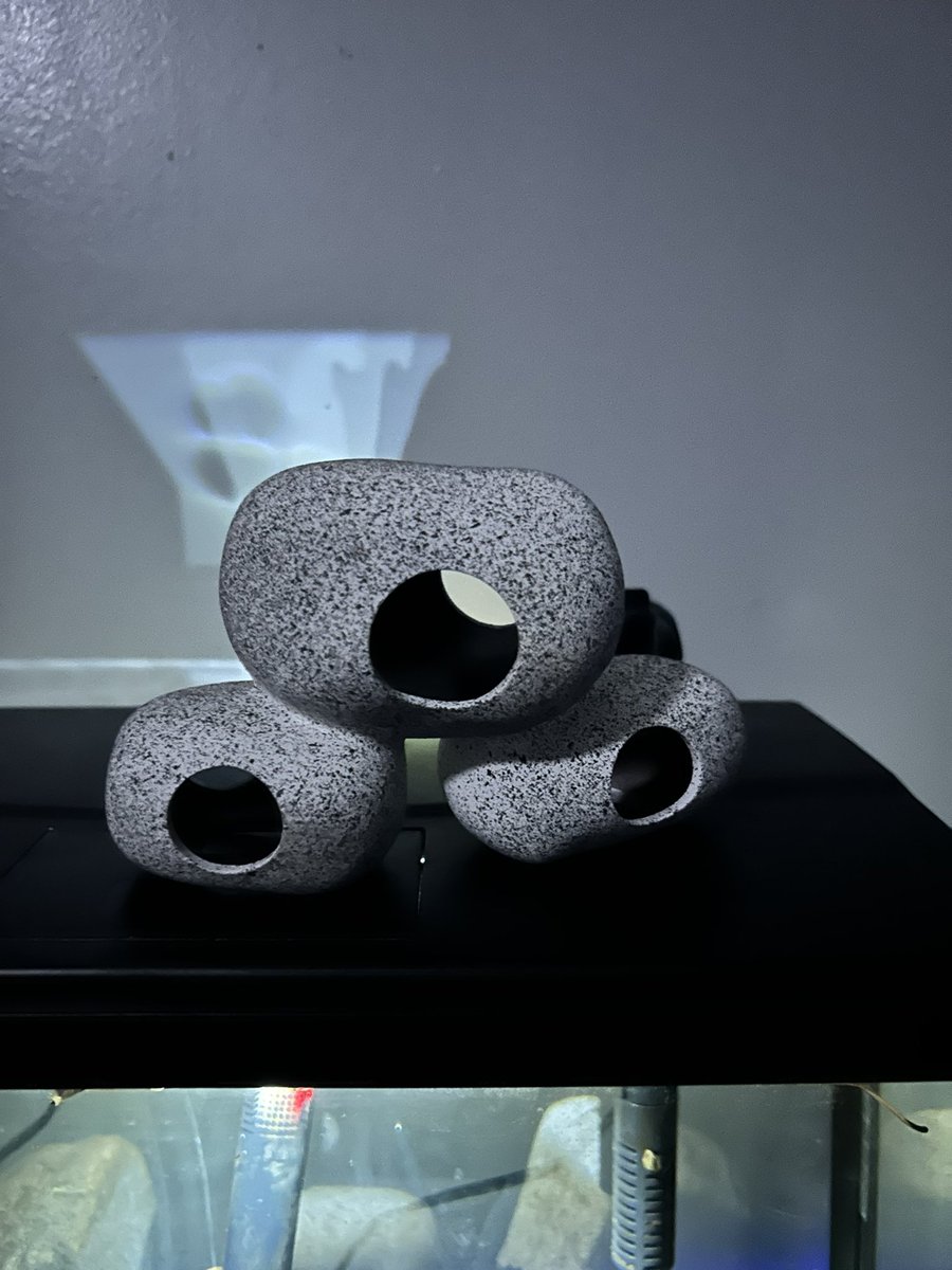 BlauFoxfire's tweet photo. My betta boy has a new rock set!
#bettafish #fiskeeper #fishoftwitter #fishofx https://t.co/fYM8HmJRew