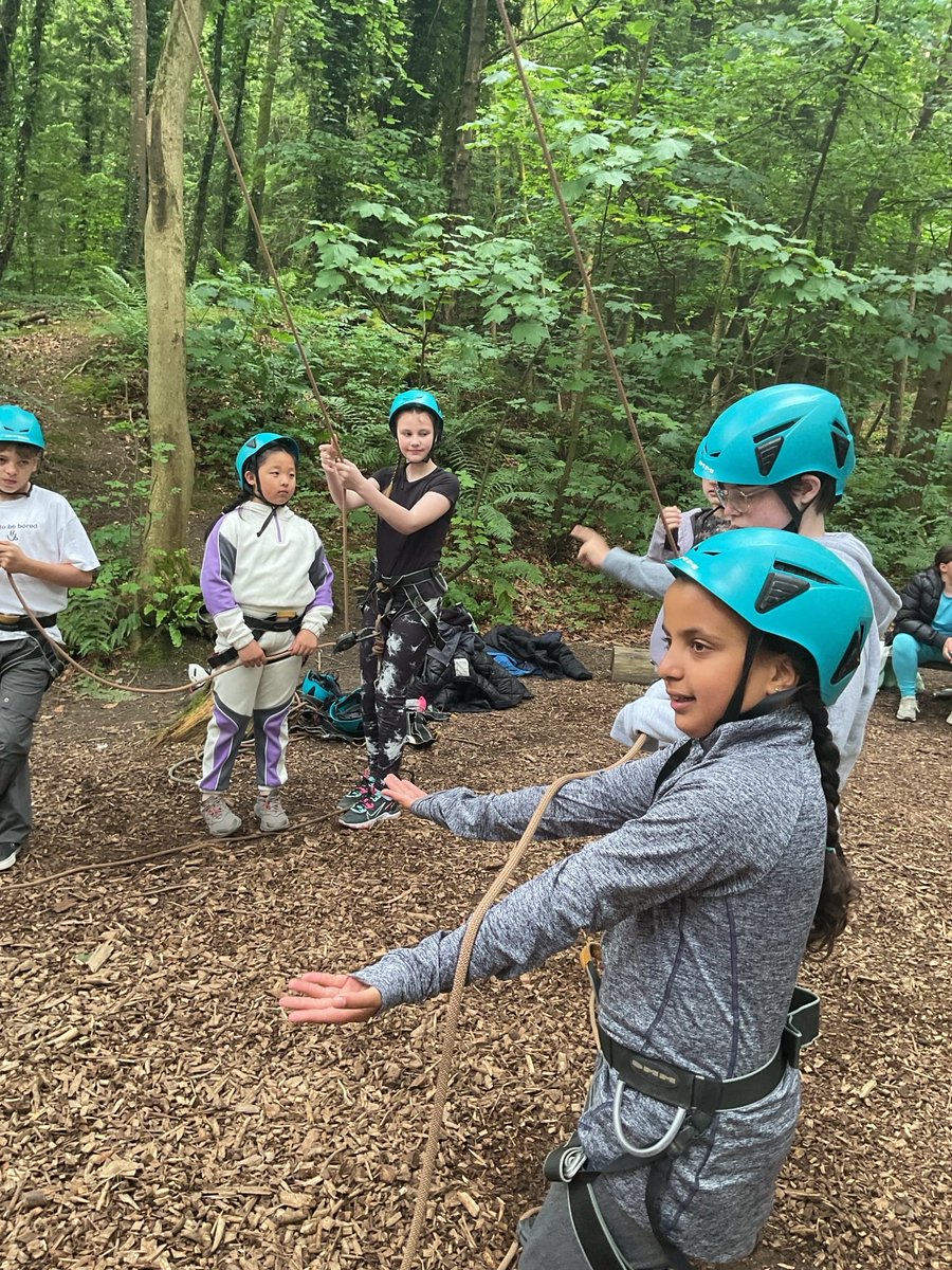 Year 5/6 St Cleopas tweet media