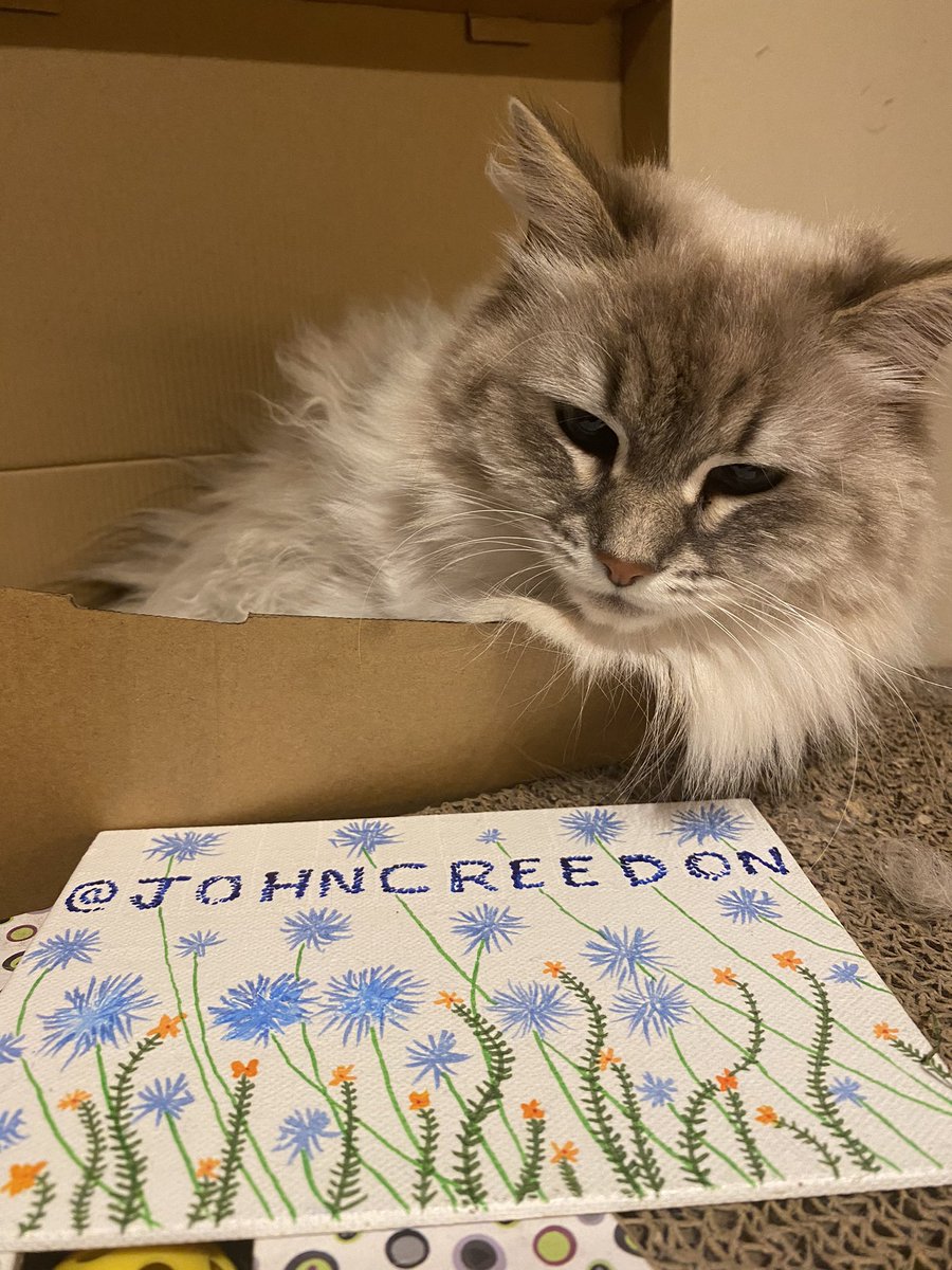 DNGW's tweet photo. @LunaSibir  listening to Steely Dan @johncreedon https://t.co/KDcPBWzkeJ