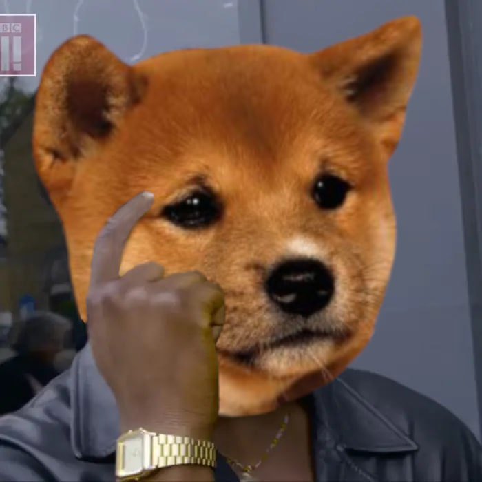 What’s Updog? tweet media
