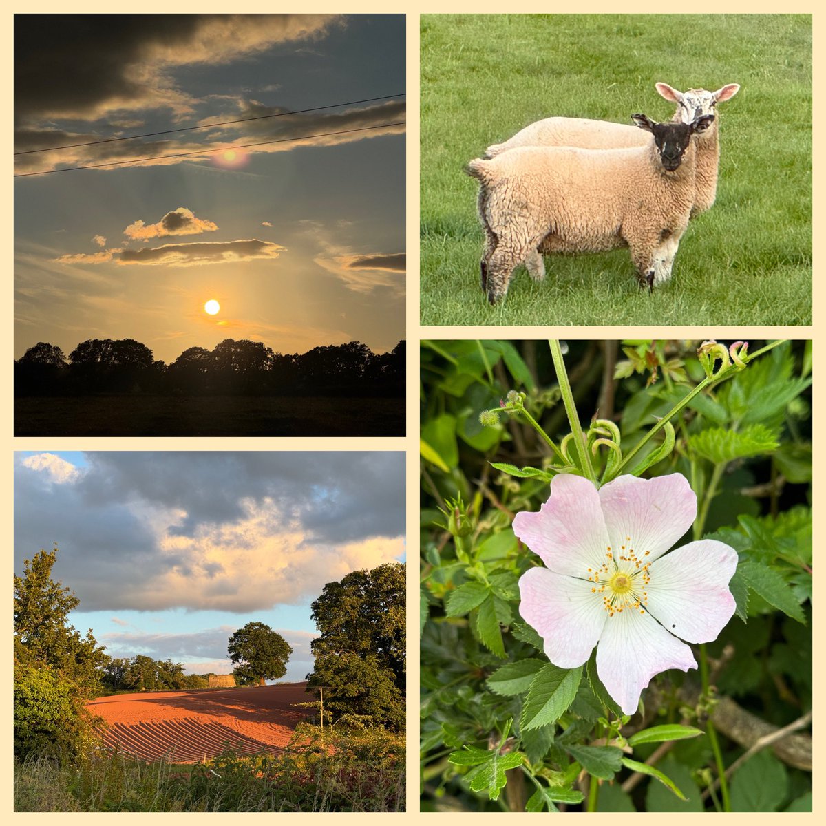 NutritiousMind's tweet image. Loving the views from my walk last night…❤️ Can you guess where am I? 😜 #miniholiday 

@smaksked @LavaletteAstrid @SiddharthKS @Goto_paulcastle @CurieuxExplorer @Earthles @CardenaLeyla @NevilleGaunt @ComesAnnemarie @postoff25 @baski_LA @PramodDrSolanki