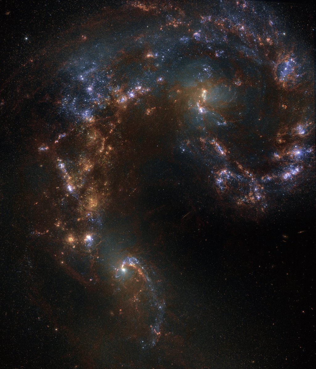 Jwst Feed tweet media