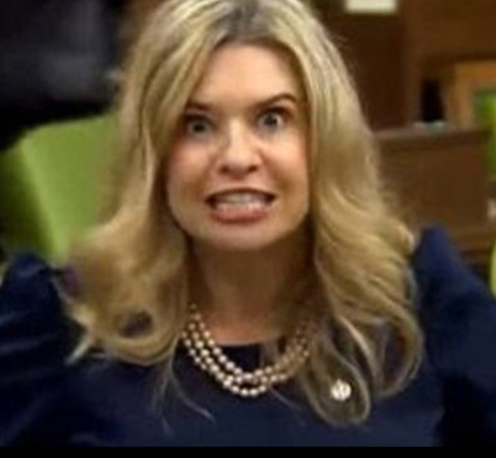 Rusty1_1's tweet photo. @KatlynHarrison is soooo partisan she sounds rediculous defending the CPC voting against taxing the rich. This is another example of hypocritical Conservative double talk. They vote with the richest .13% and then deflect and justify and attack. @PnPCBC
#SheCrazy https://t.co/89eXdKI41U