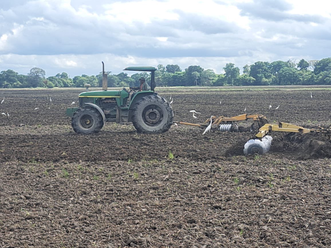 ASOPORTUGUESA's tweet photo. El poder del campo 🚜

De estas tierras generamos el cultivo del que depende el progreso de cientos de familias que trabajan en la agricultura y de millones de venezolanos a quienes llega cada uno de nuestros alimentos. https://t.co/uXtyMKRvuD