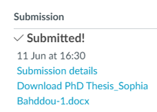 Sophia Bahddou tweet media