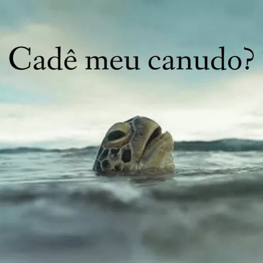 garota_proerd's tweet photo. @Laraqk https://t.co/929WAPefzn