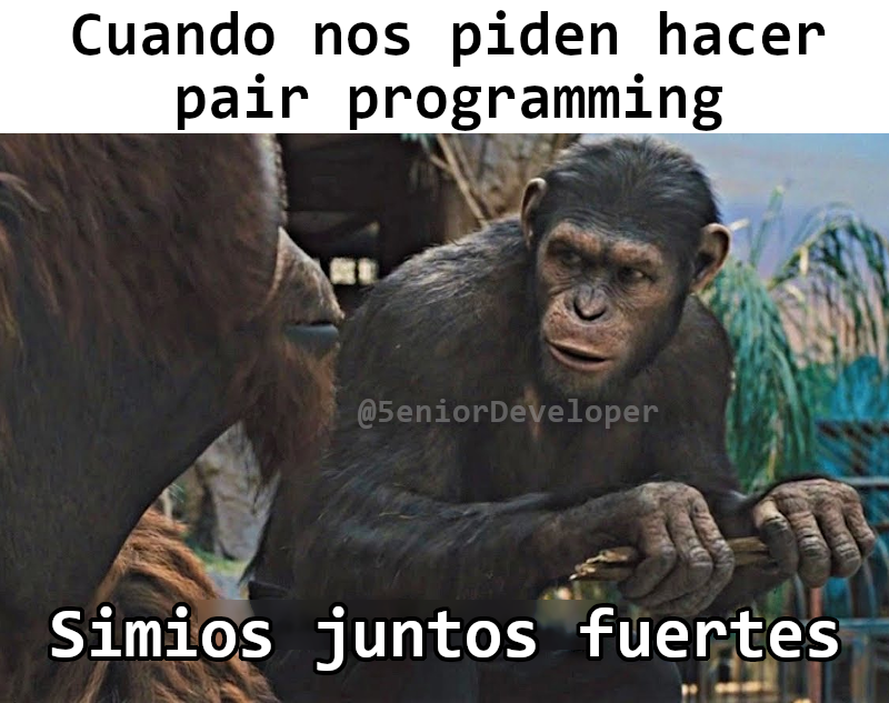 5eniorDeveloper's tweet photo. ¿Ustedes qué piensan del pair programming? https://t.co/e4CjukuEvT