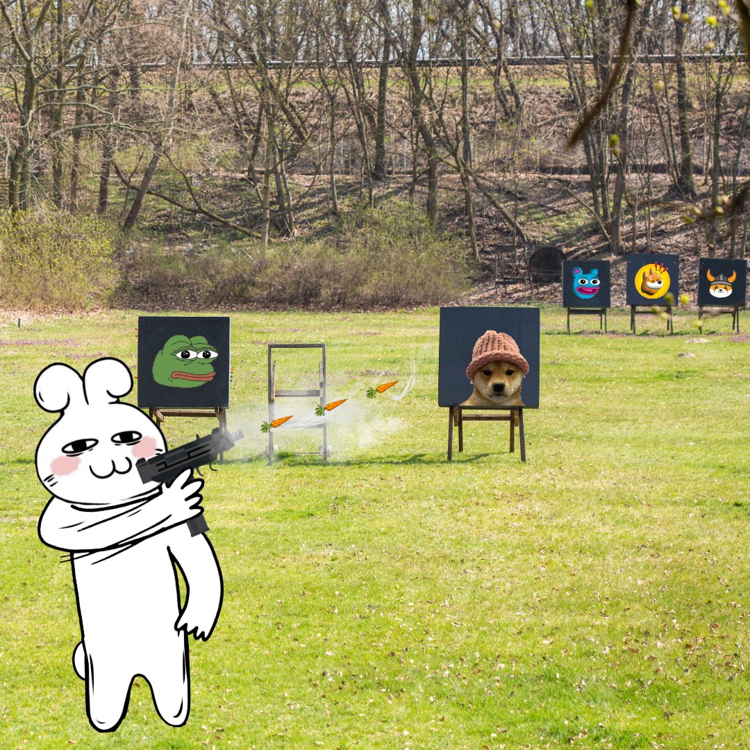 Tuzi 兔子 tweet media