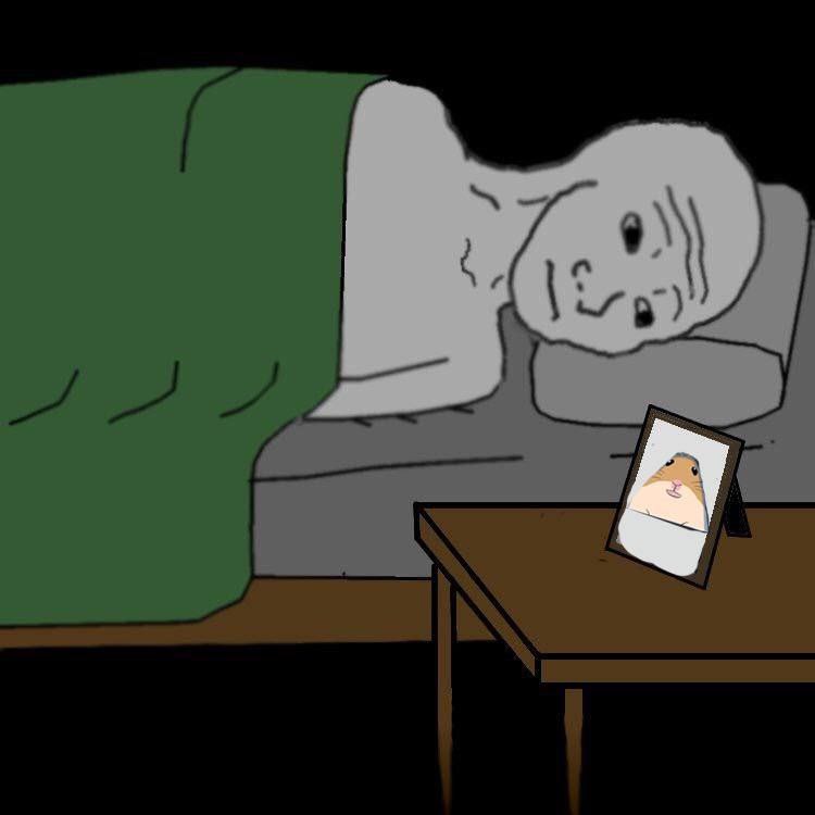 KumaRaitis's tweet photo. @AltCryptoGems Gn! $HAMI Wish you a good sleep and Sweet Dreams! https://t.co/p6Xdj8ajEP