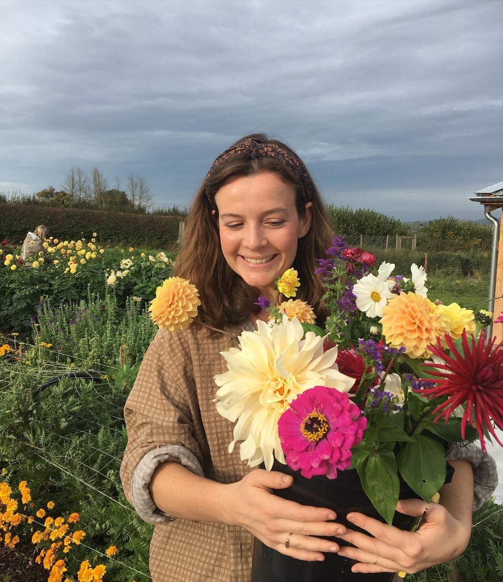 fiveacrefarmer's tweet photo. This Saturday our flower patches are open! 

This means you can pick your dream bunch every Saturday - Sunday over the summer. 

🌸 We provide the snips
🌸 Fill a jar for £10 

📸 Thanks for the snap @spareysgarden https://t.co/3USc677FqT
