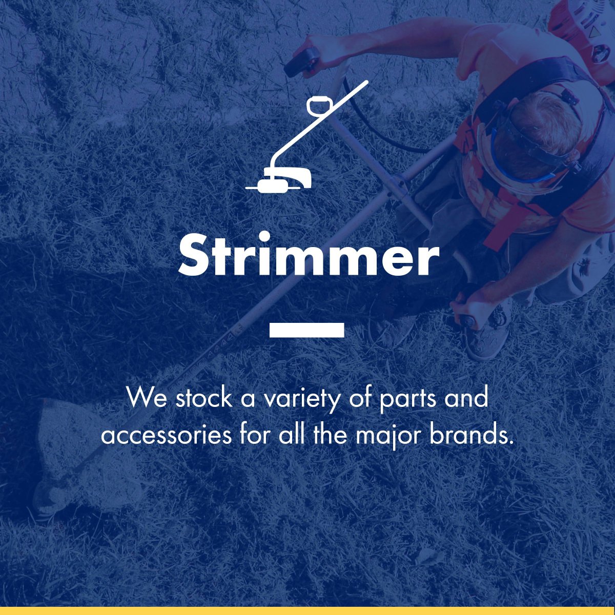 Maddocks tweet media