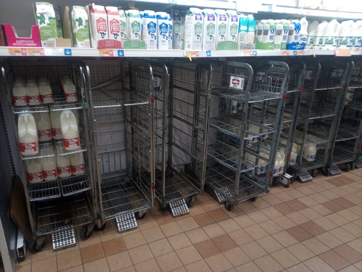 Kate W kateweb.bsky.social/kateweb@mastodon.online tweet media