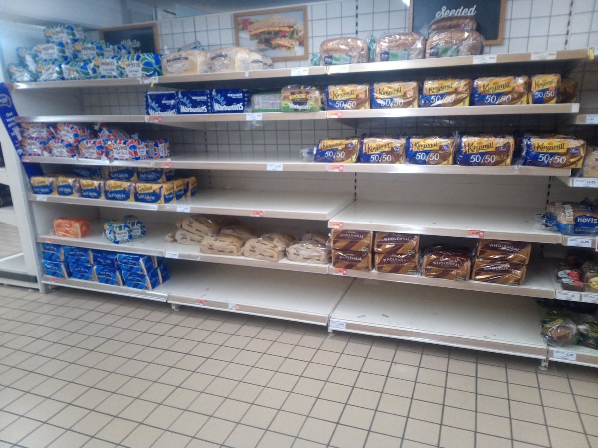 Kate W kateweb.bsky.social/kateweb@mastodon.online tweet media