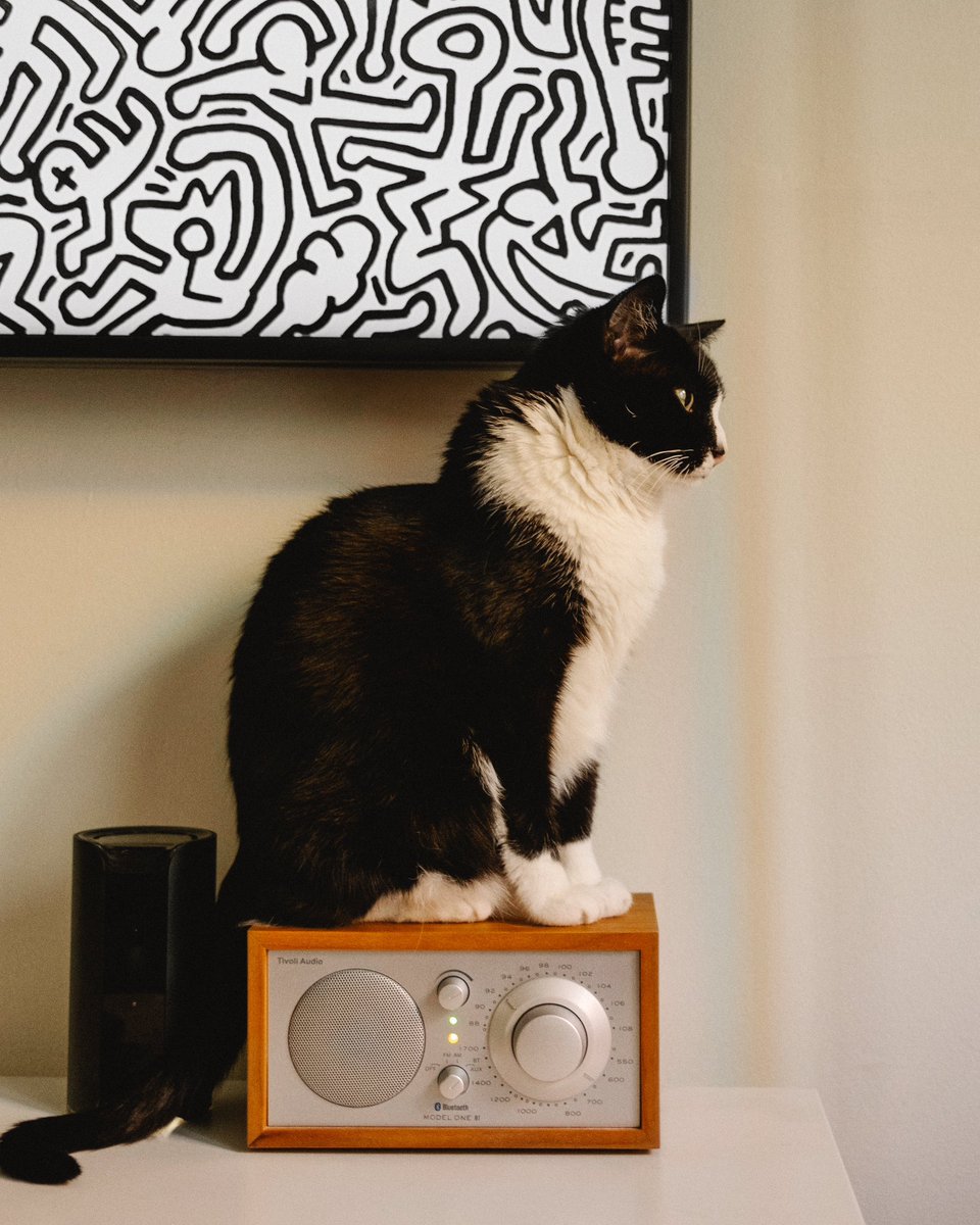 CheetoTuxedo's tweet photo. Get down? Darling, I'm simply enhancing the music with my presence. https://t.co/xMlMEQirHI