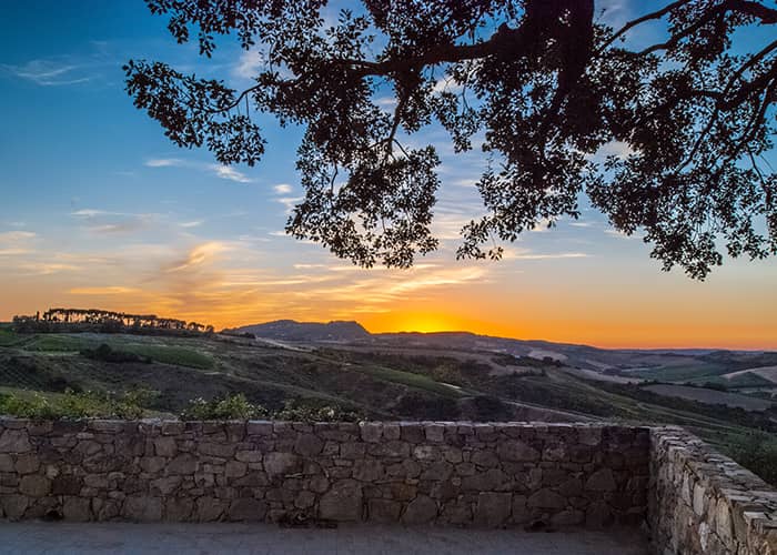 TuscanVines ® tweet media