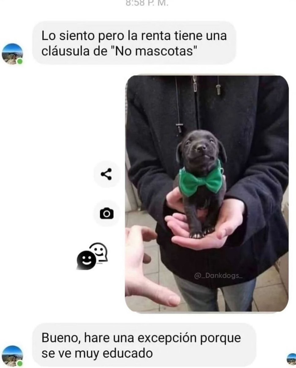 No no no bueno si