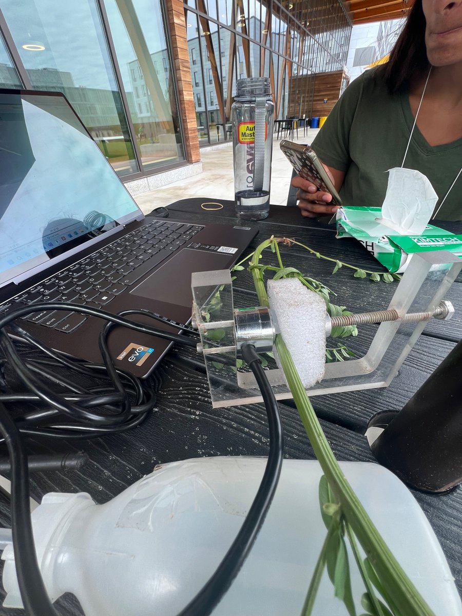 Erika Bucior tweet media