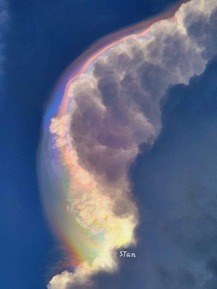 AquariusGate's tweet photo. Sky of Singapore. Like chameleon colours changes every few seconds or minute...So honoured to witness this phenomenon from beginning to end lasted abt 15 mins Tuesday 11.06.2024.
📷 Tan Sharon https://t.co/FR7wUmJq0N