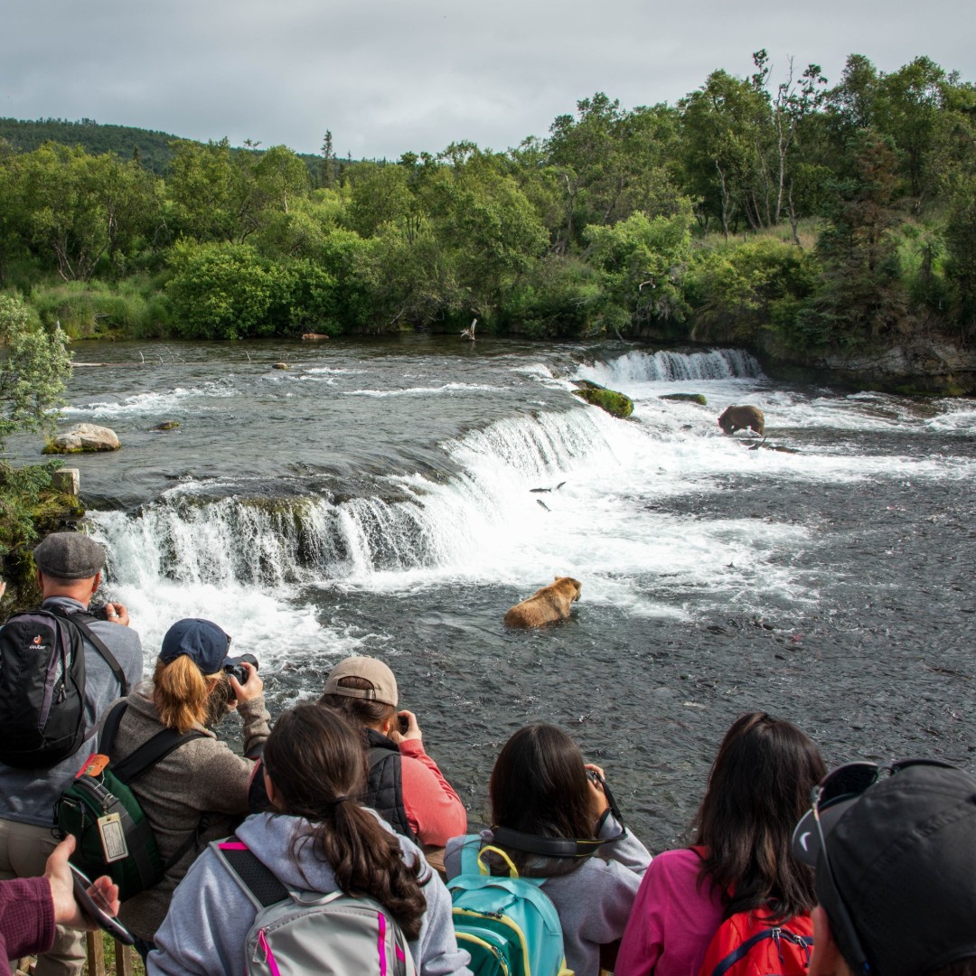 Bear season is coming, are you ready?

Planning a trip to Brooks Falls? Here are some things to know before you go:

nps.gov/katm/planyourv…

NPS photo
