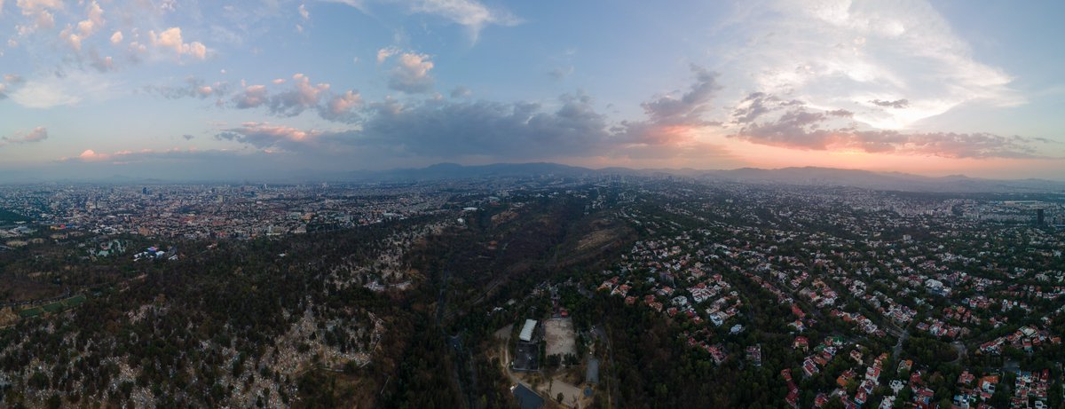 Bosque De Chapultepec tweet media