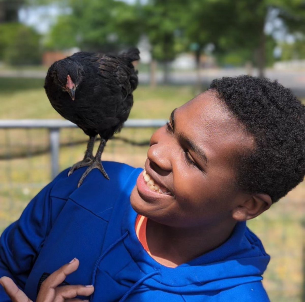 Phoenix Academy tweet media