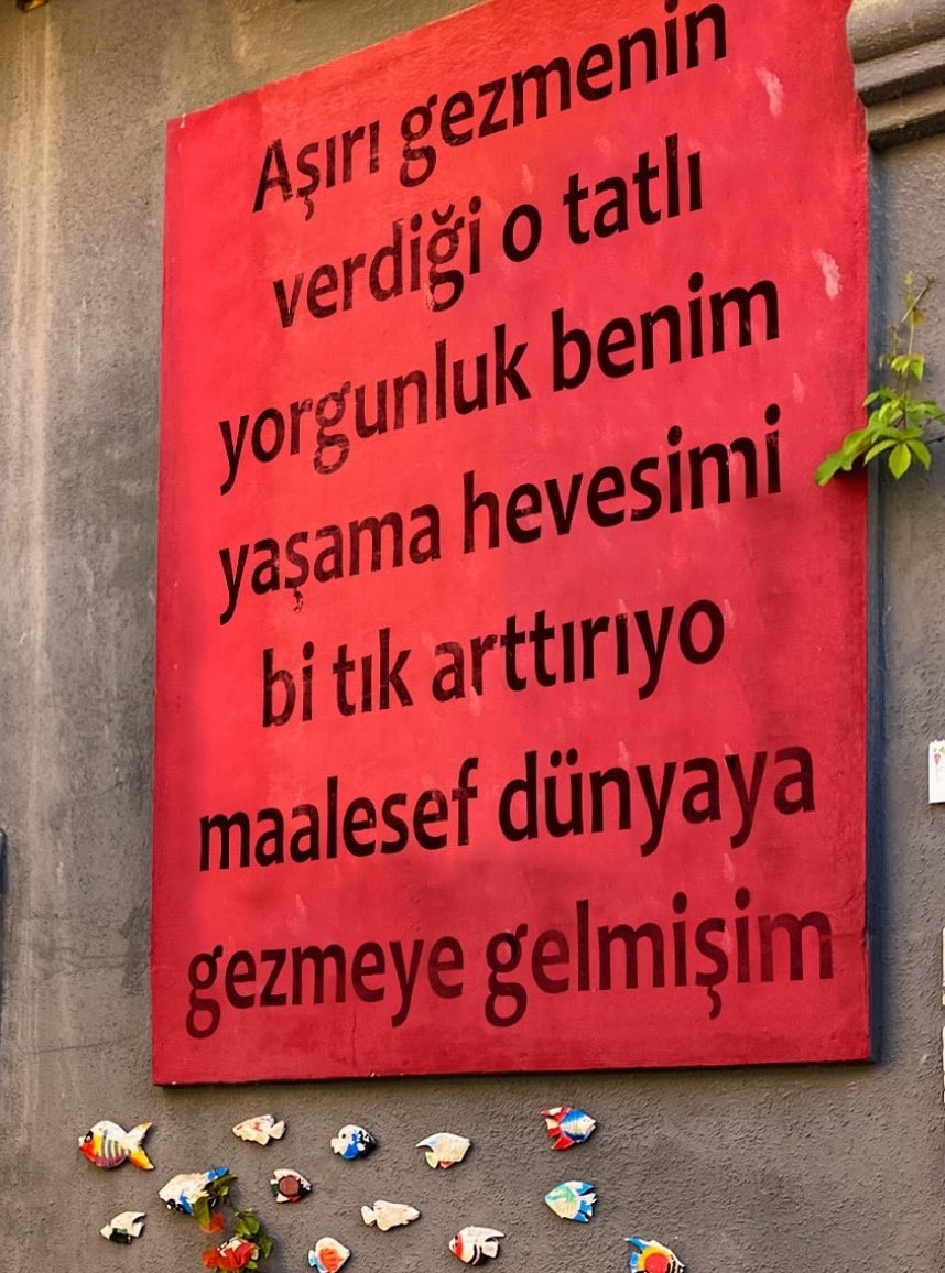 ǝɔƃnꓕ (@tugce_unln) on Twitter photo 