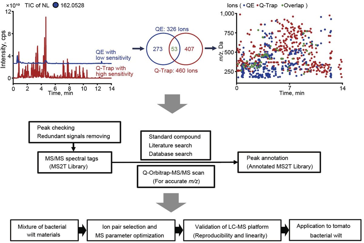 JIPBio's tweet photo. 🍅#TomatoTuesday is back with🍅a widely targeted metabolite modificomics (#WTMM)🍅strategy for🍅large-scale detection and quantitative🍅#analysis of plant-modified🍅#metabolites and #plant #biomarker development🍅https://t.co/W4CrP7N2Vx @wileyplantsci #JIPB #PlantSci🍅#CropSci https://t.co/mVC6kO5hhe