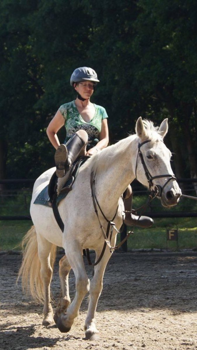 niekgirl's tweet image. Foto van lang geleden #voltige bij de manege. Zo leerde ik op latere leeftijd alsnog paardrijden.