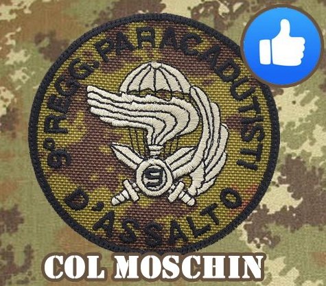 giogio_al_cubo's tweet image. Orgoglioso di averlo votato!

#IoStoConVannacci 
#ColMoschin