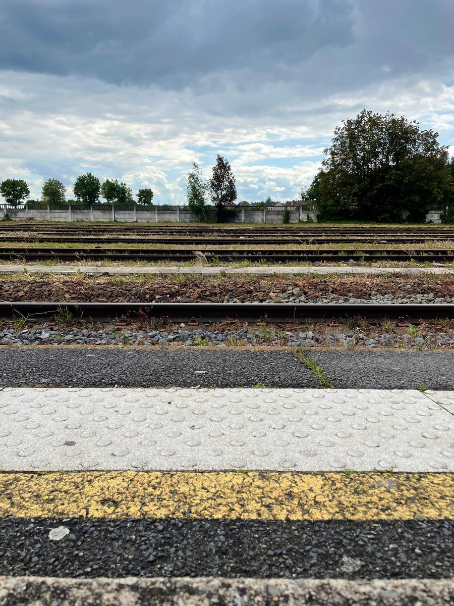 Philippe Charlier tweet media