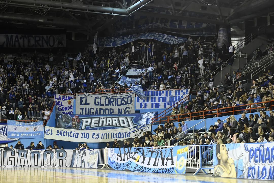 Barras_LATAM's tweet photo. 🏀🇦🇷 Jugador N°6 - Peñarol De Mar Del Plata https://t.co/aucYZ8OfBX