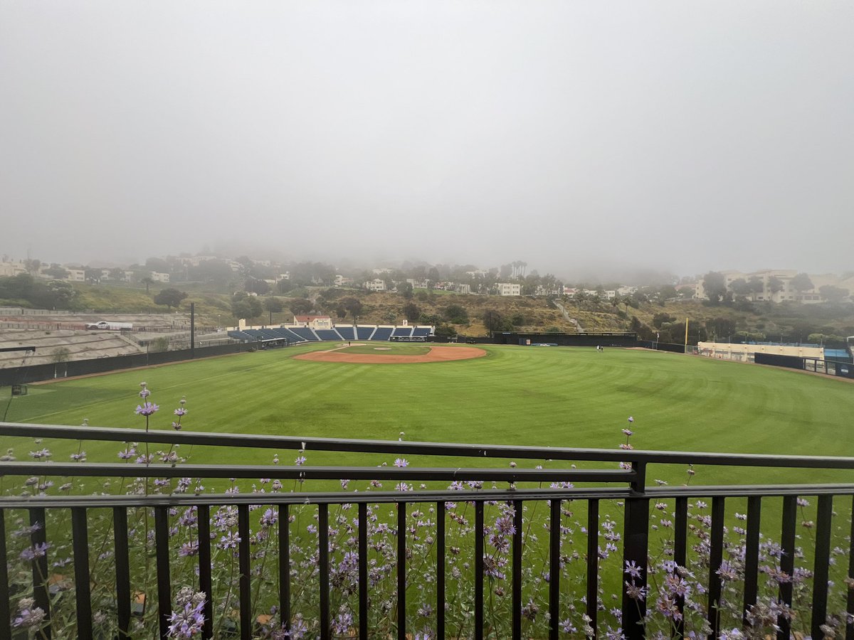 Joshua Simons tweet media