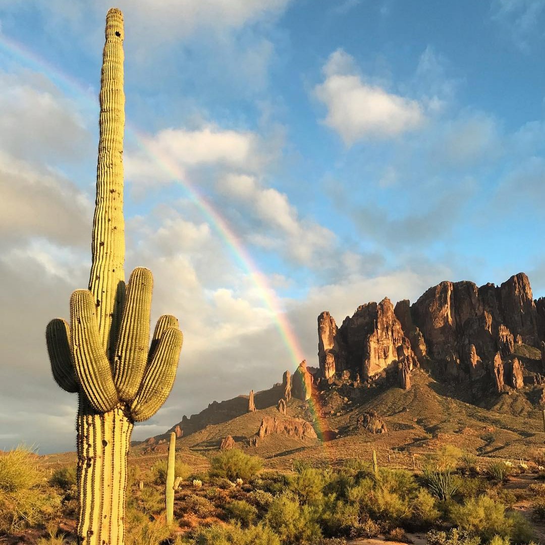 VisitMesa (@visitmesa) on Twitter photo Happy Pride Month! 🌈
We are dedicated to fostering an inclusive and welcoming environment for everyone who visits Mesa. This wouldn't be possible without <a href="/OneCommunityAZ/">ONE Community</a> a driving force behind the Unity Pledge that Mesa adopted in 2017. Sign pledge here bit.ly/4bXrCP0 Happy Pride Month! 🌈
We are dedicated to fostering an inclusive and welcoming environment for everyone who visits Mesa. This wouldn't be possible without <a href="/OneCommunityAZ/">ONE Community</a> a driving force behind the Unity Pledge that Mesa adopted in 2017. Sign pledge here bit.ly/4bXrCP0